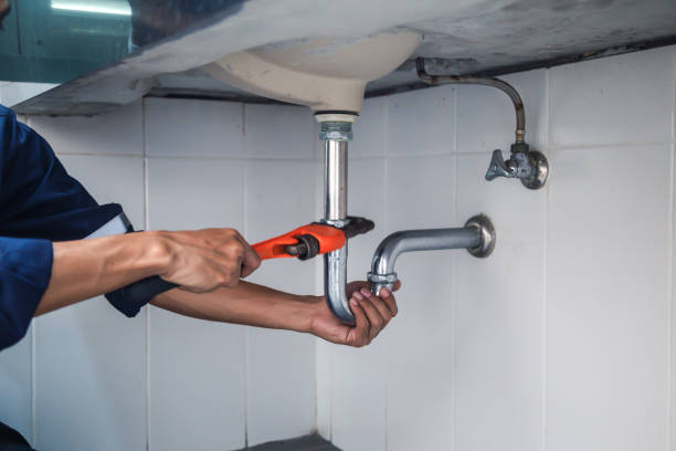 Best Plumbing Inspection Services  in Odem, TX
