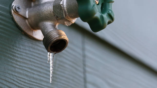 Best Residential Plumbing Services  in Odem, TX
