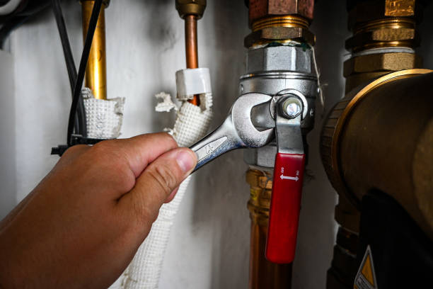 Best Toilet Repair Services  in Odem, TX